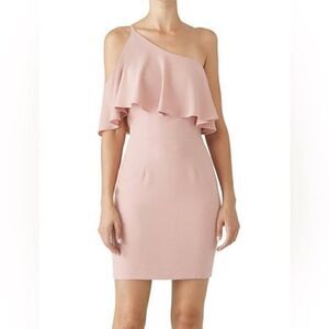Dress The Population Sabrina One Shoulder Rose Petal Blush Pink Cocktail Dress